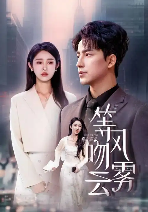 雾港来信 剧集在线观看